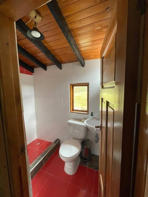 Acogedora Cabaña Chalet en Medio de la Naturaleza