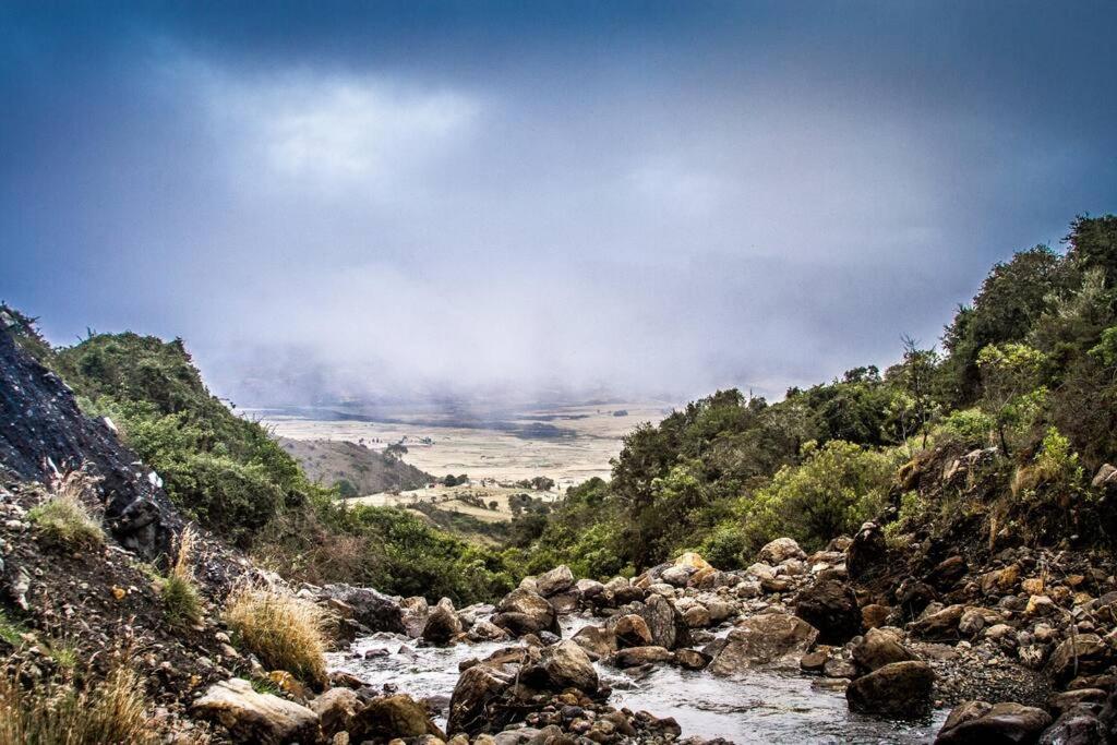 Acogedora Cabaña Chalet en Medio de la Naturaleza