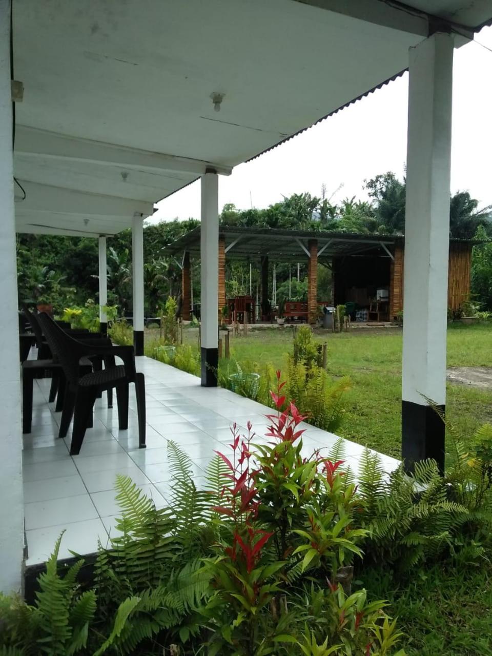 Photo 11