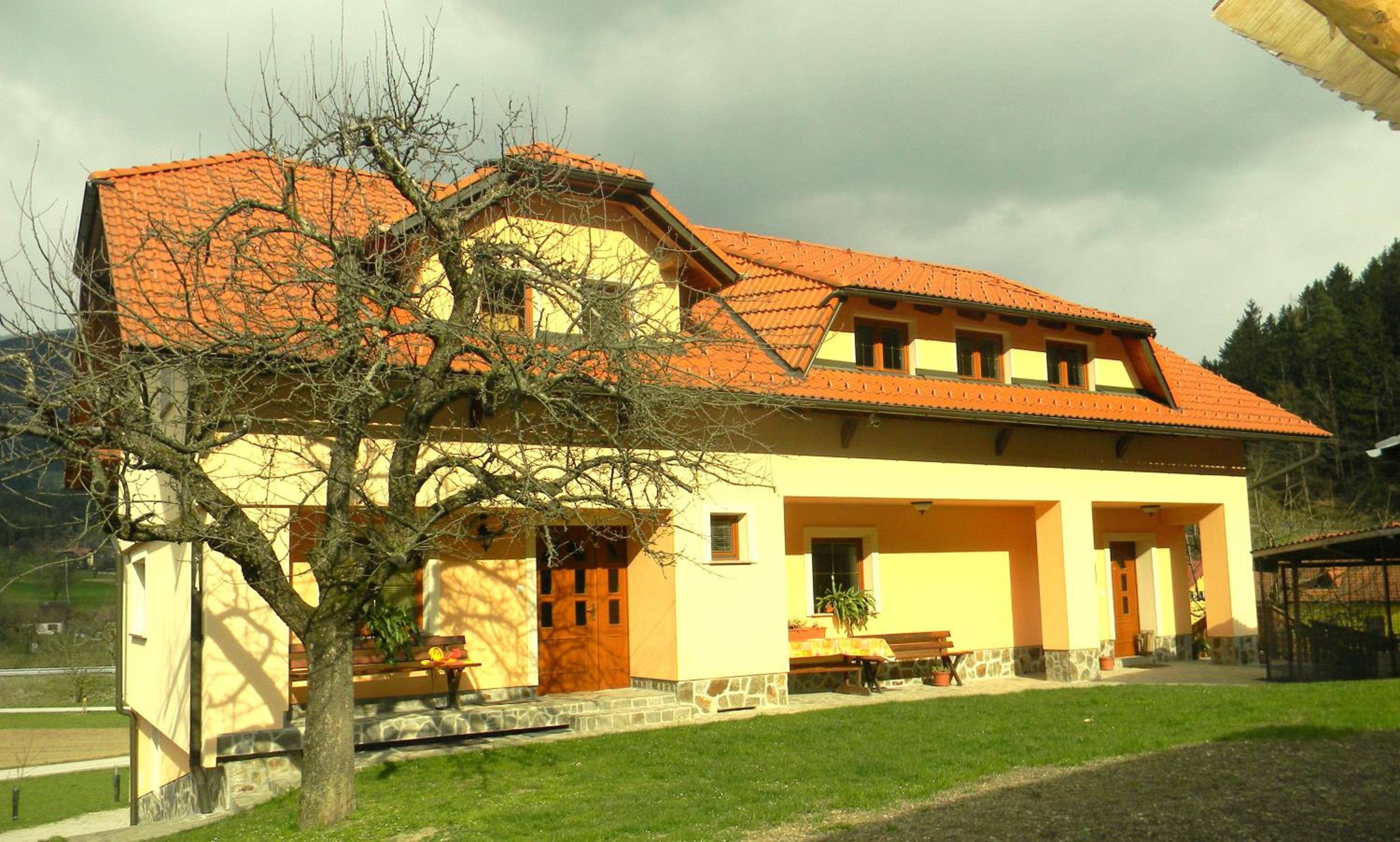Photo 43