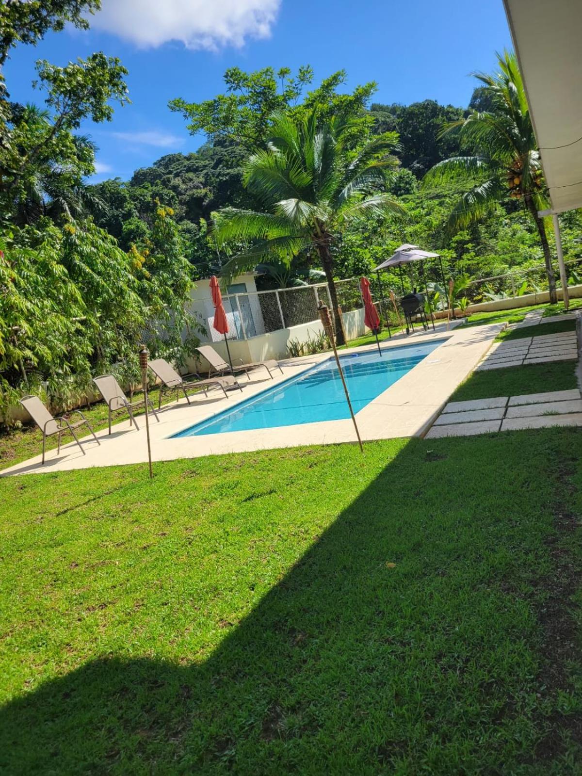 oasis with pool near Panama Canal