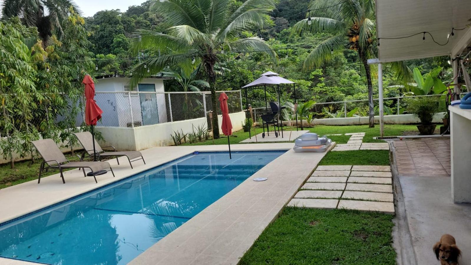 oasis with pool near Panama Canal