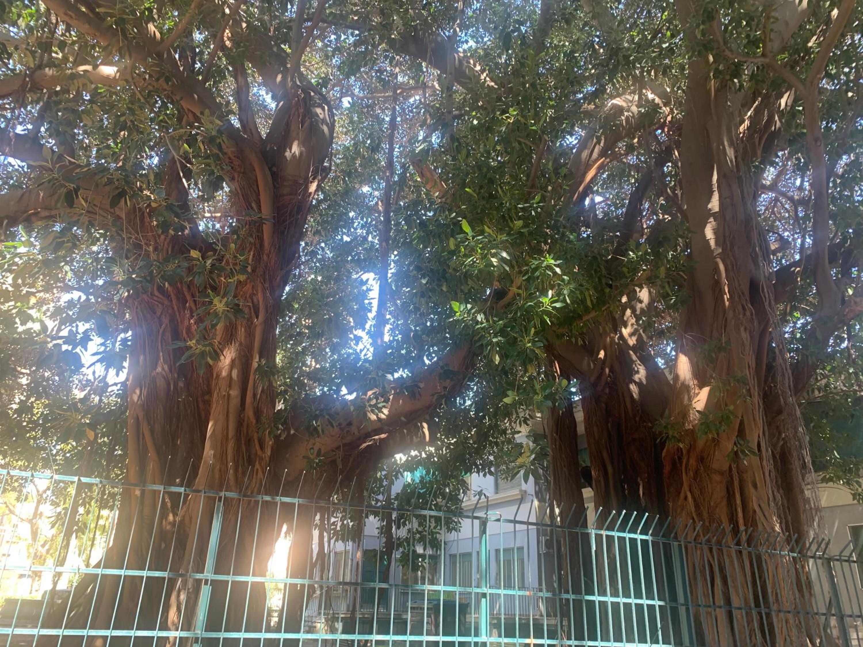 Casa Raccuglia view 2
