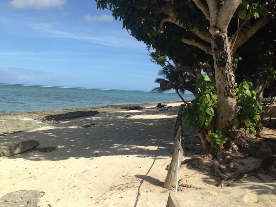 The Jewel of The Coral Coast - view 3