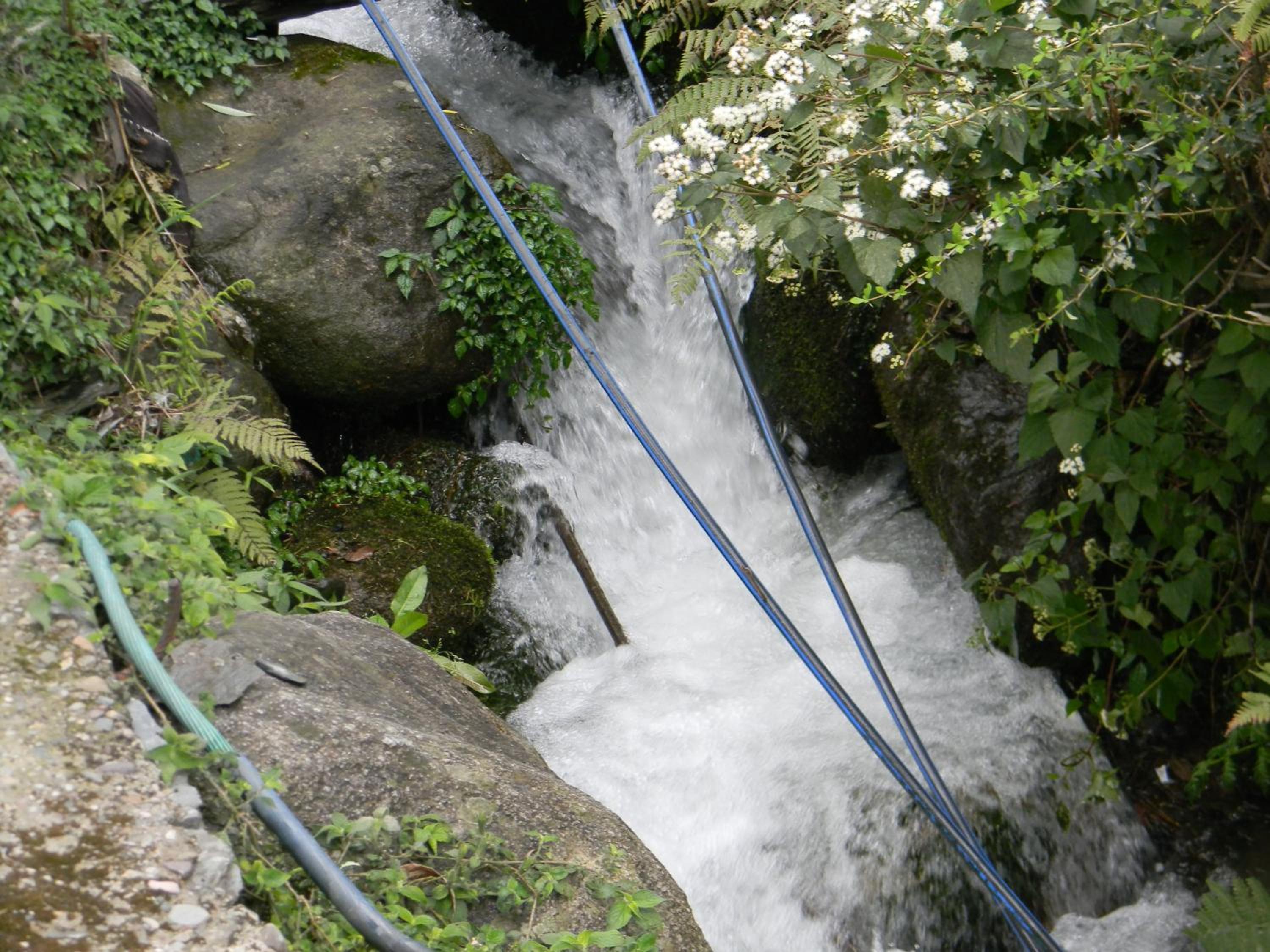 Photo 29