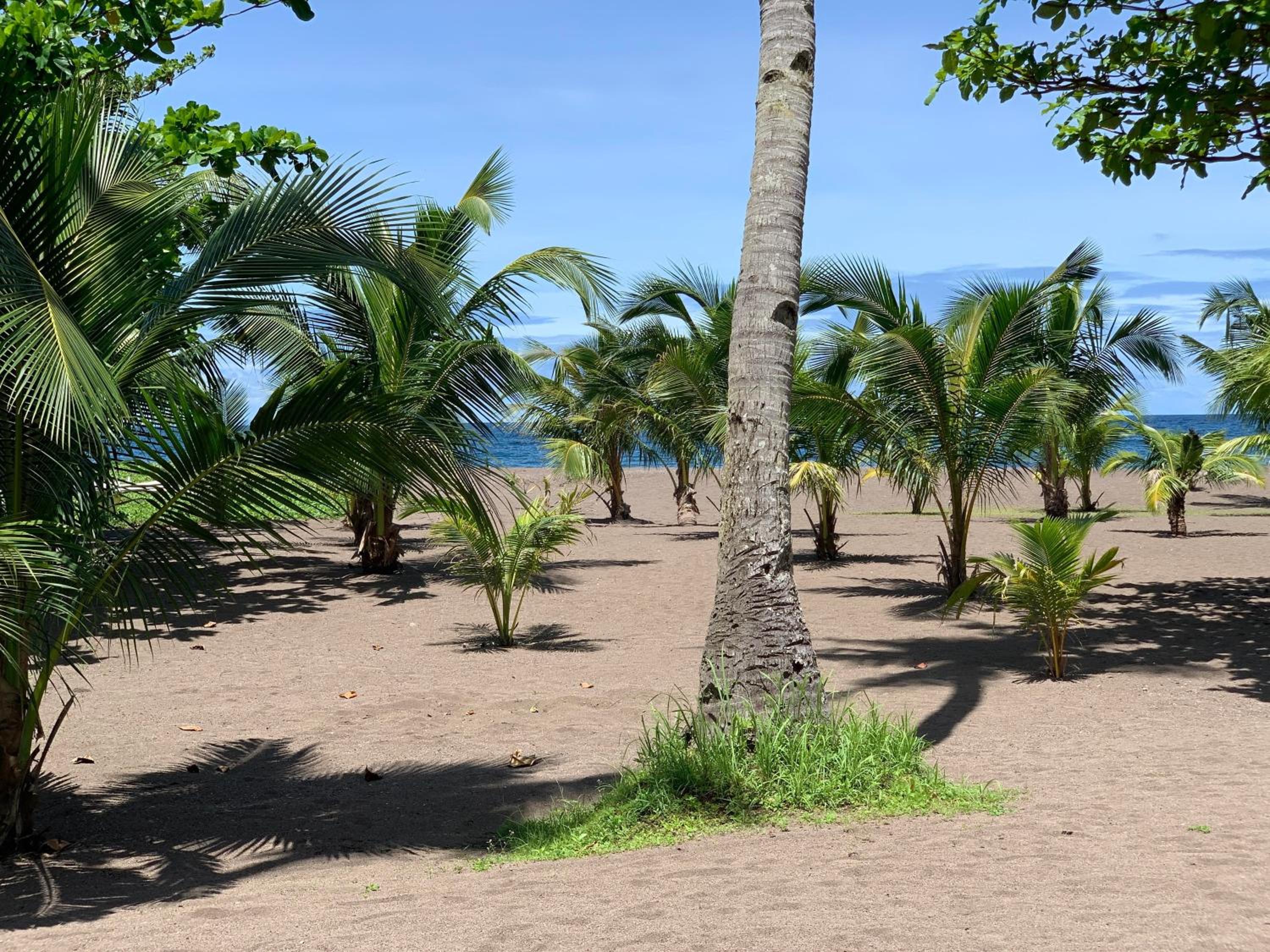 SomeWhere Else Boutique Resort