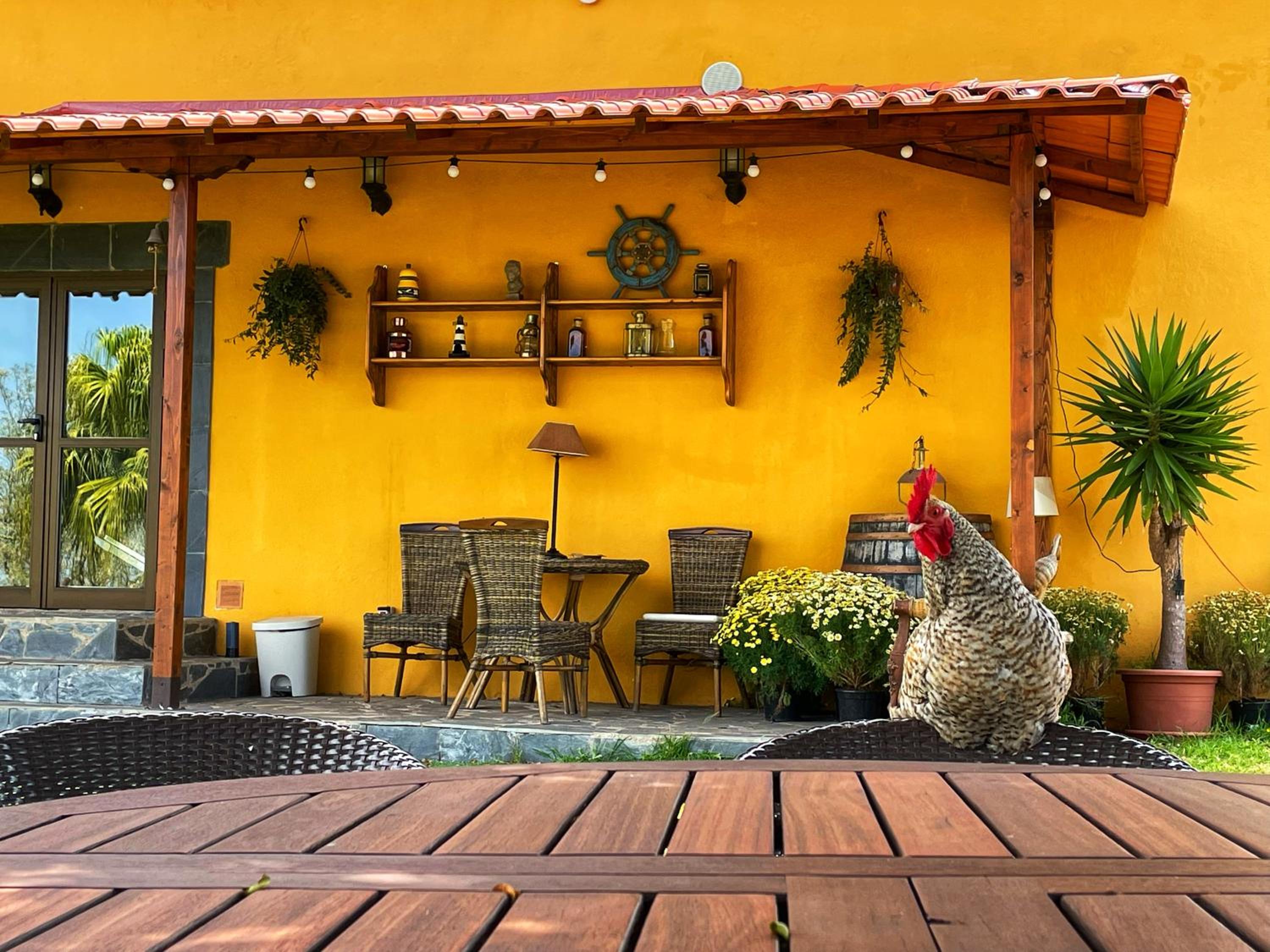 Villa Fort Tenerife