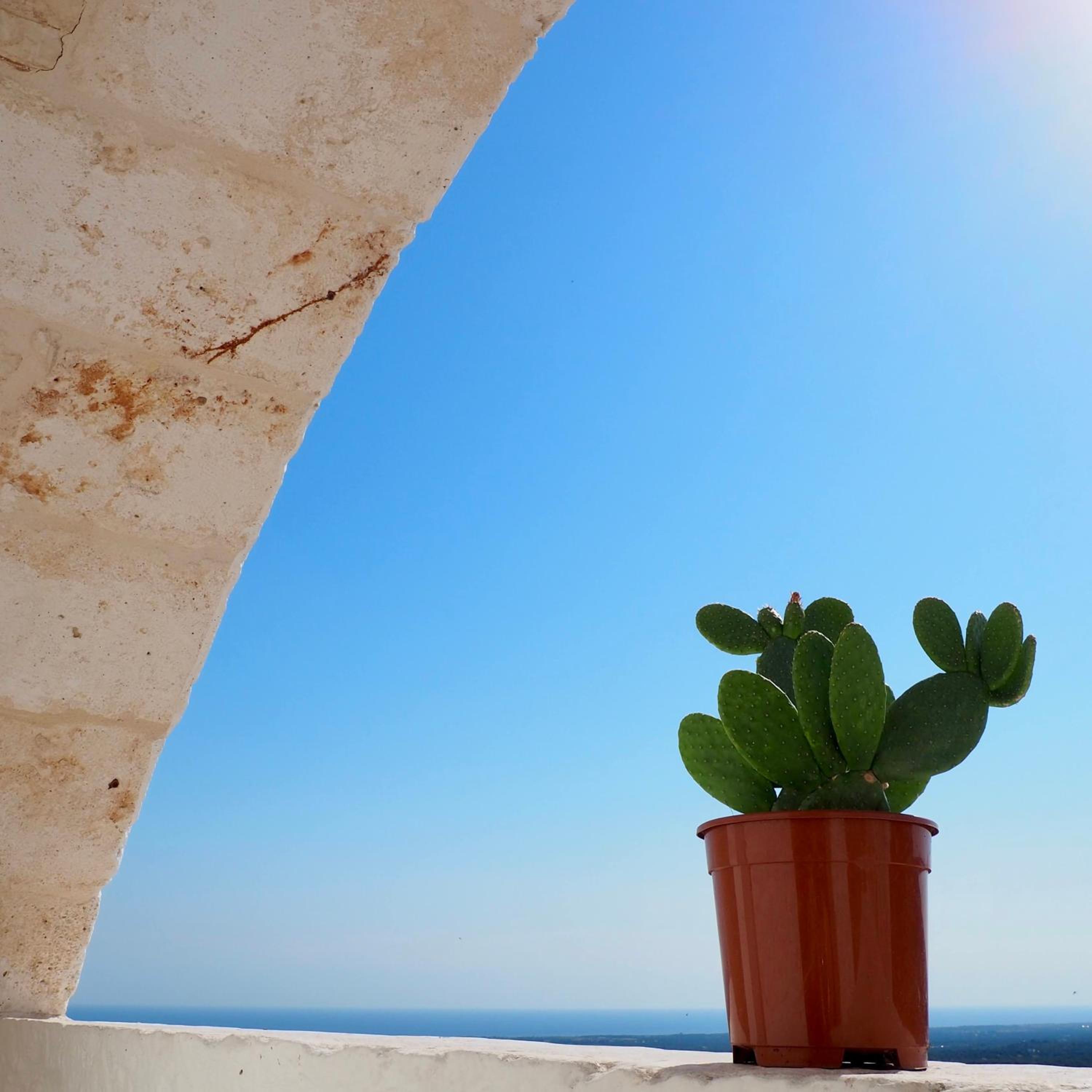 Casa Martina Ostuni photo 2