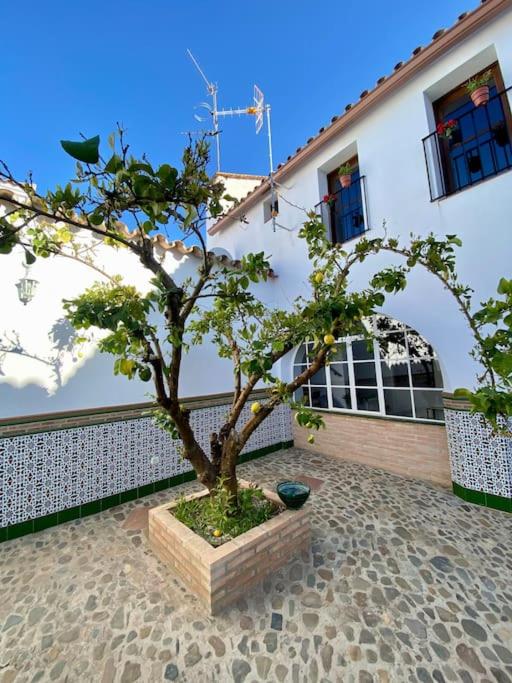 Casa del Marqués
