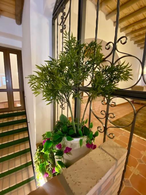 Casa del Marqués