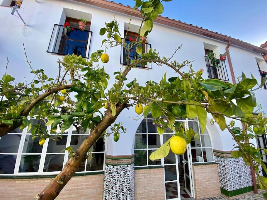 Casa del Marqués