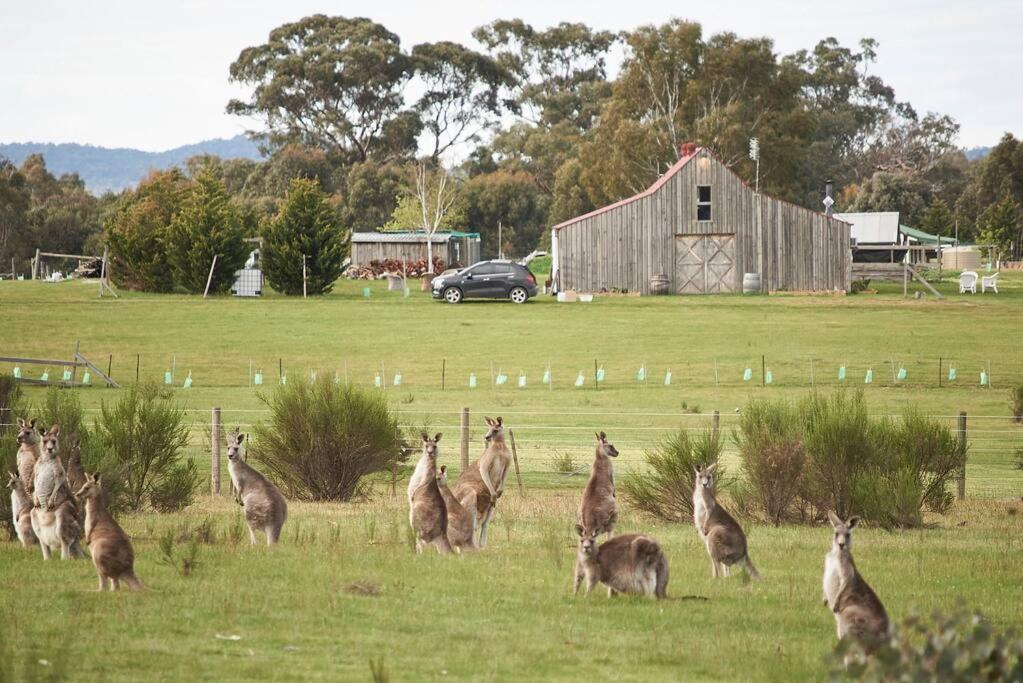 The Barn Heathcote