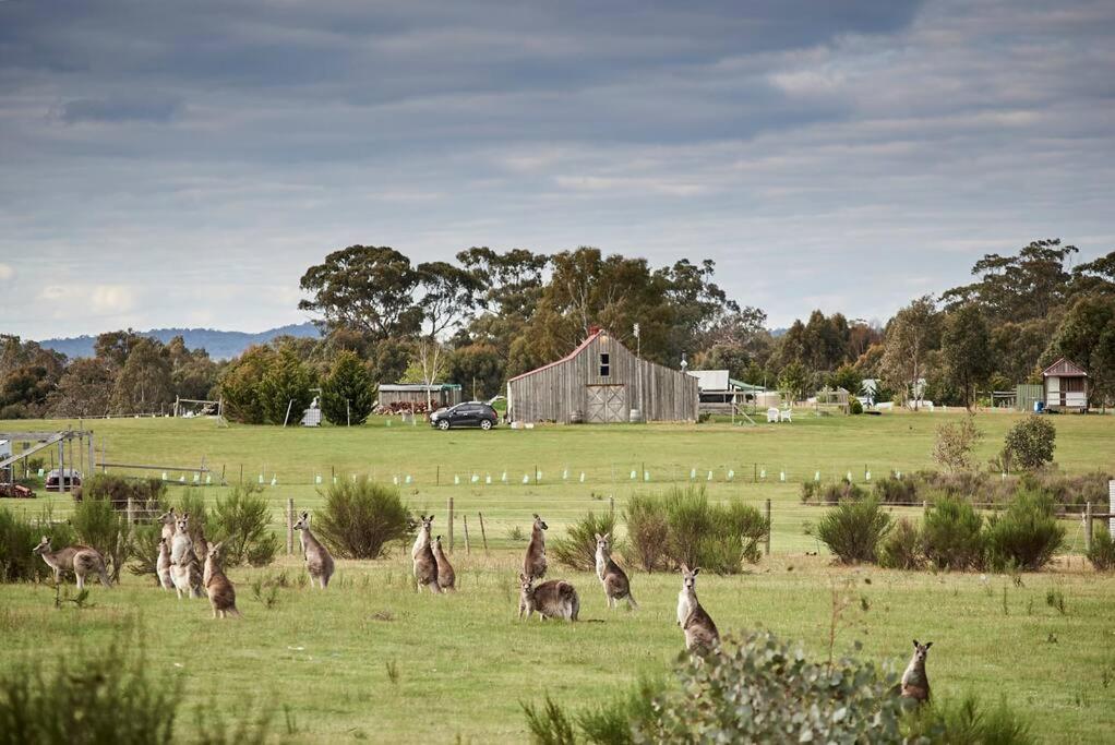 The Barn Heathcote