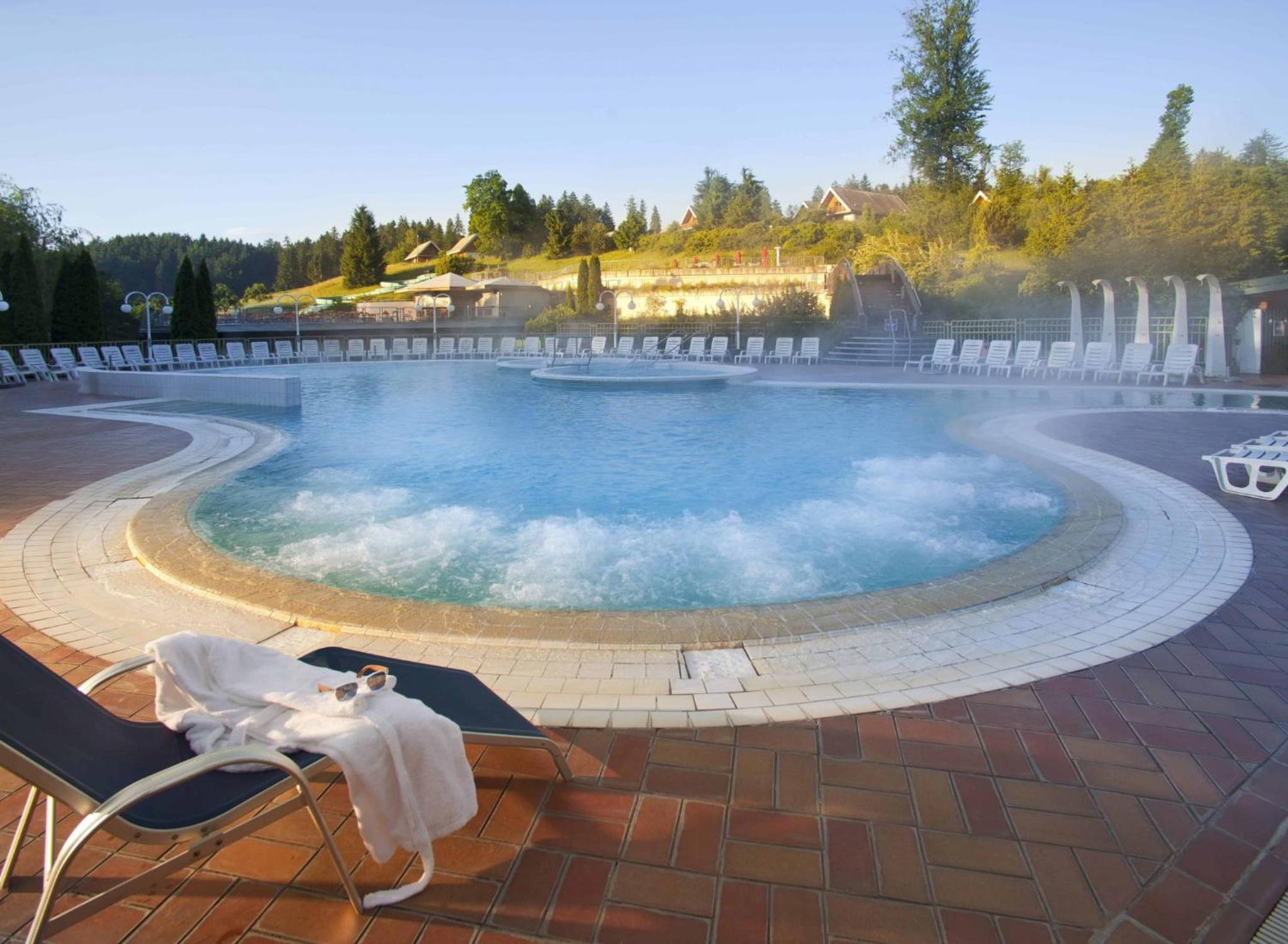 Apartment HORTENZIJA near Terme Topolšica