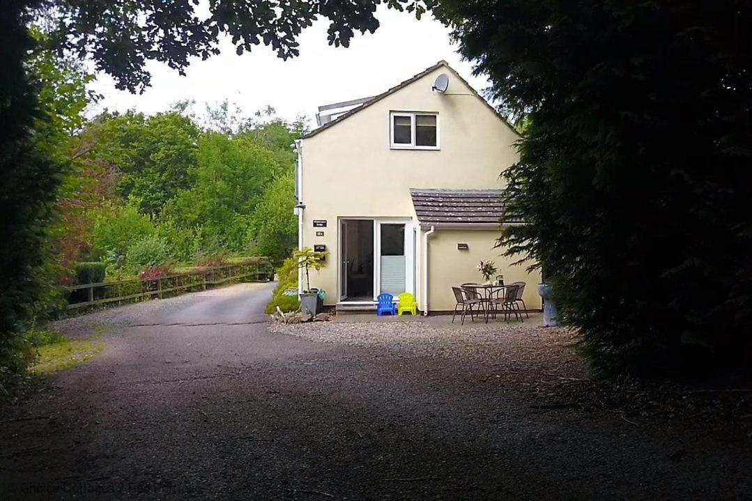 Photo 24