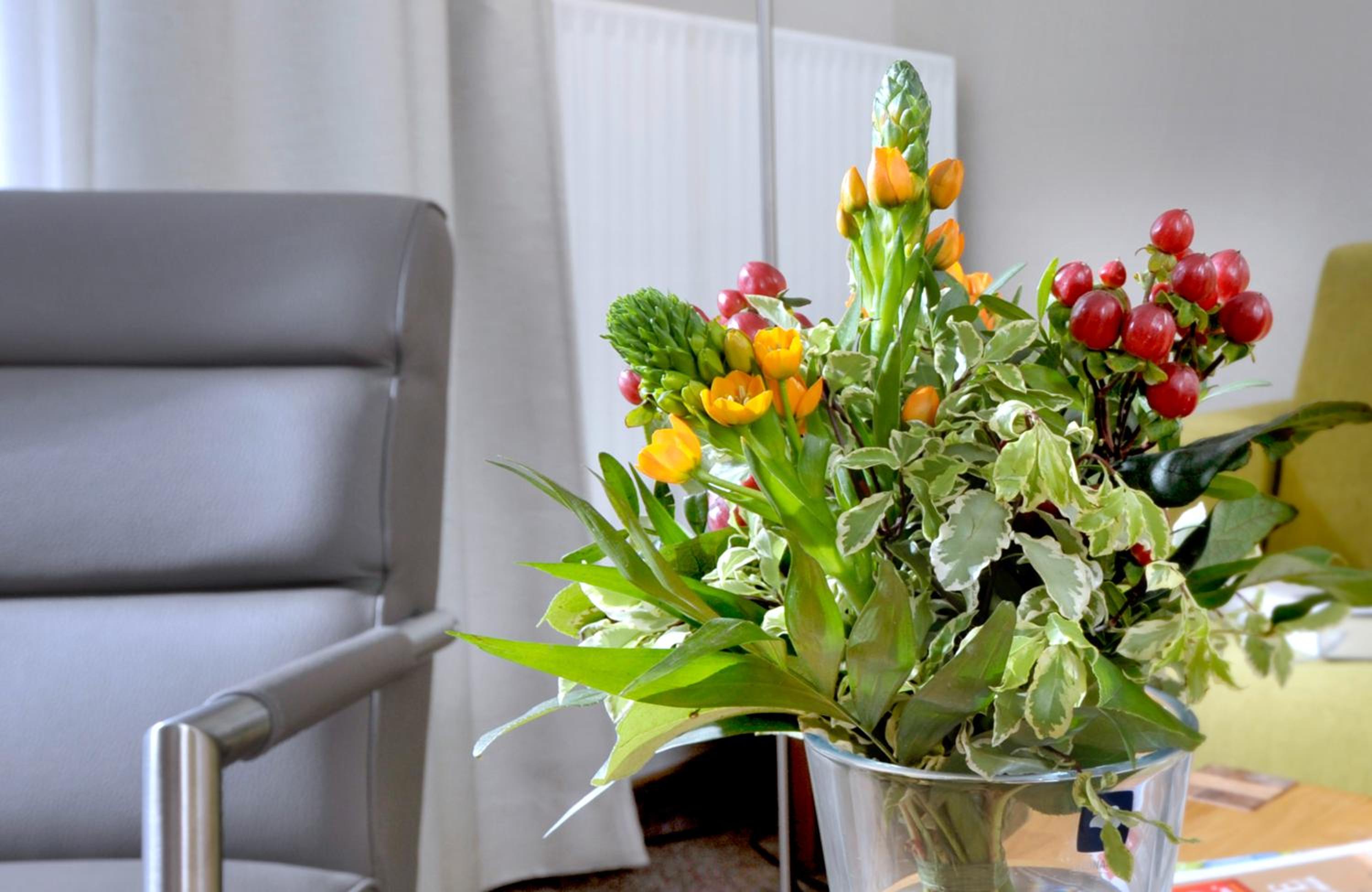 Apartmenthaus Holländerei