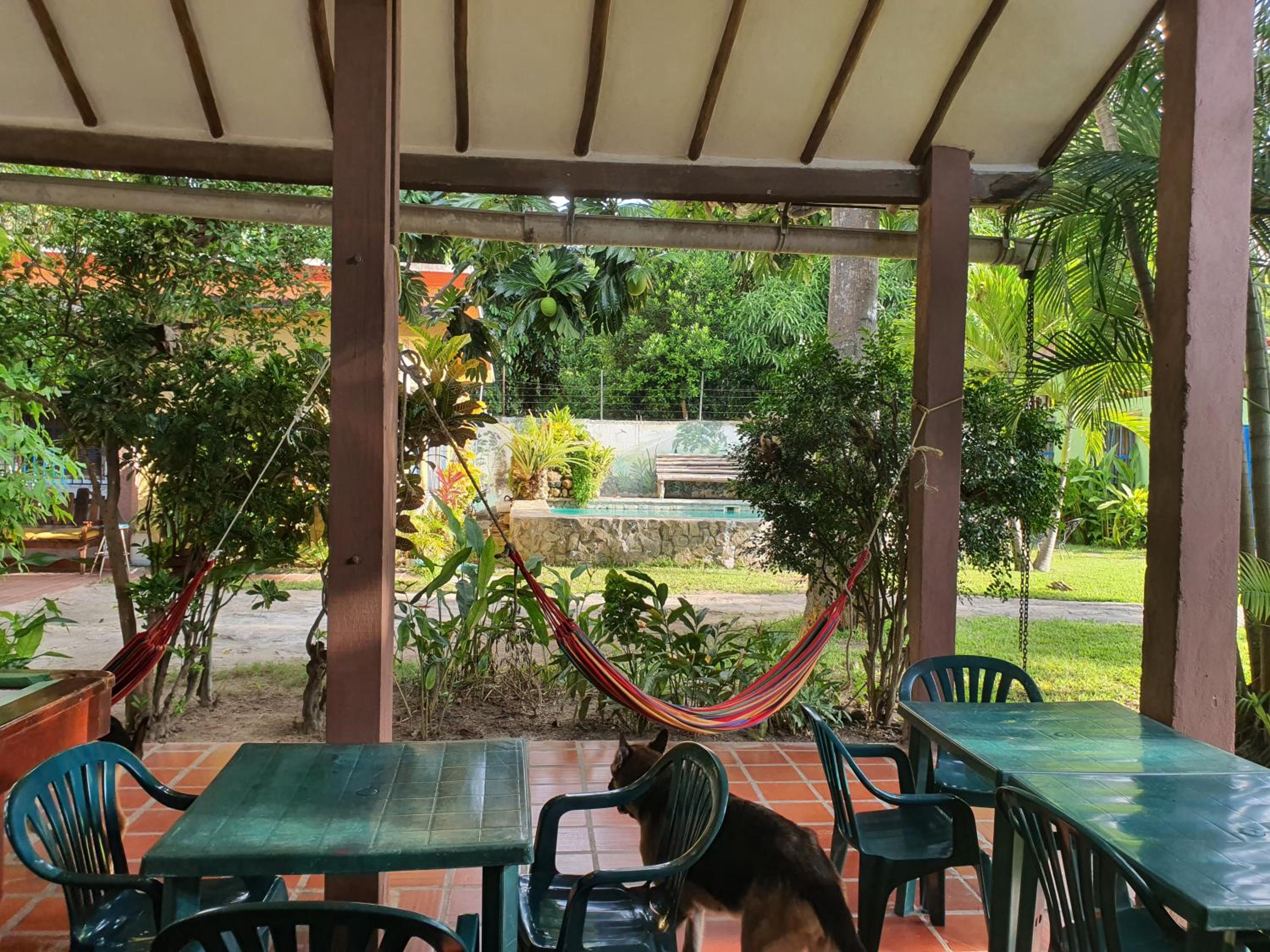 Hostal Nova Colonial