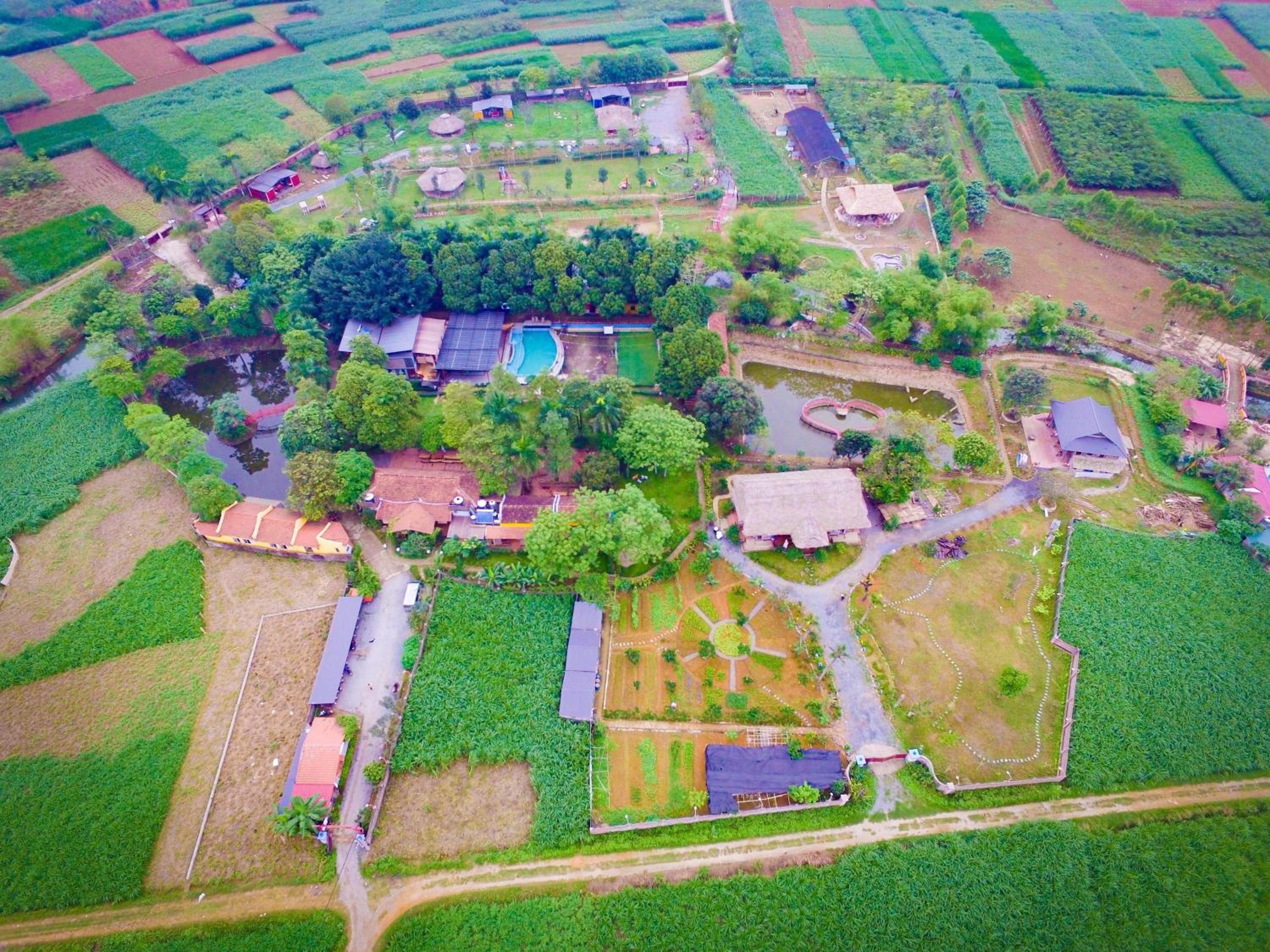 Wonder Farm Ba Vì - Edu & Retreat