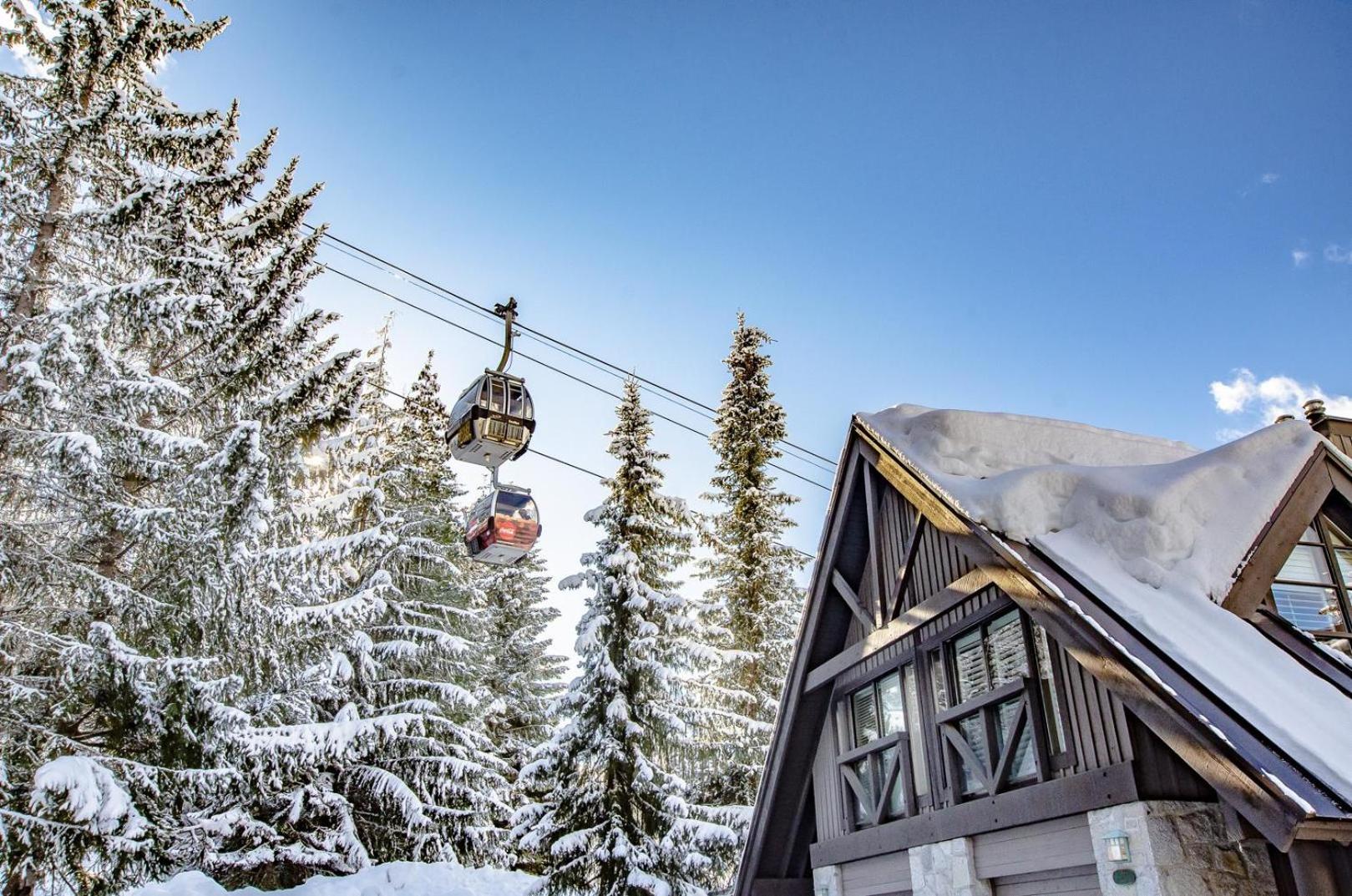 Pinnacle Ridge 23 - Ski In Ski Out, Newly Renovated, Private Hot Tub, Gas Fireplace