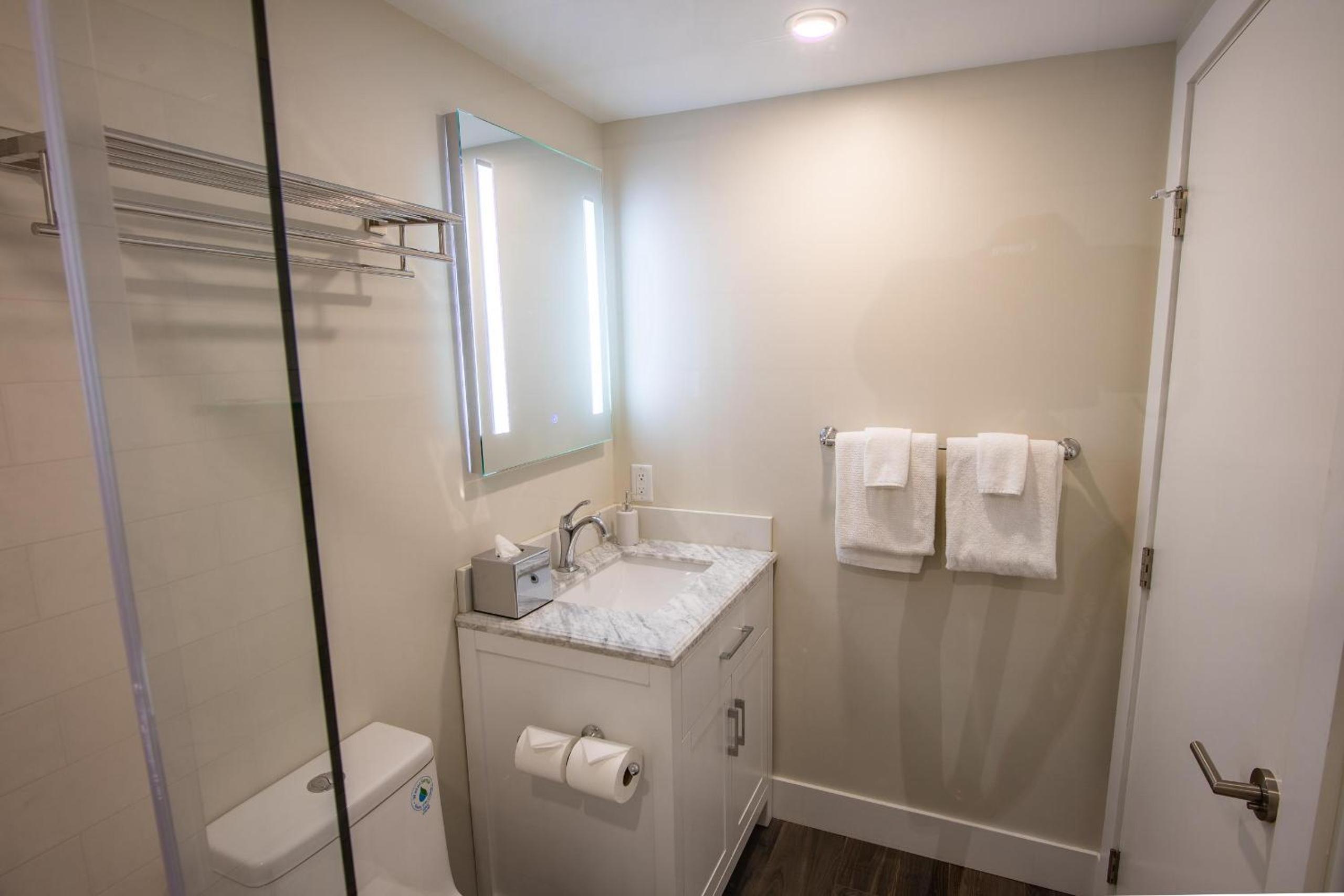 Pinnacle Ridge 23 - Ski In Ski Out, Newly Renovated, Private Hot Tub, Gas Fireplace