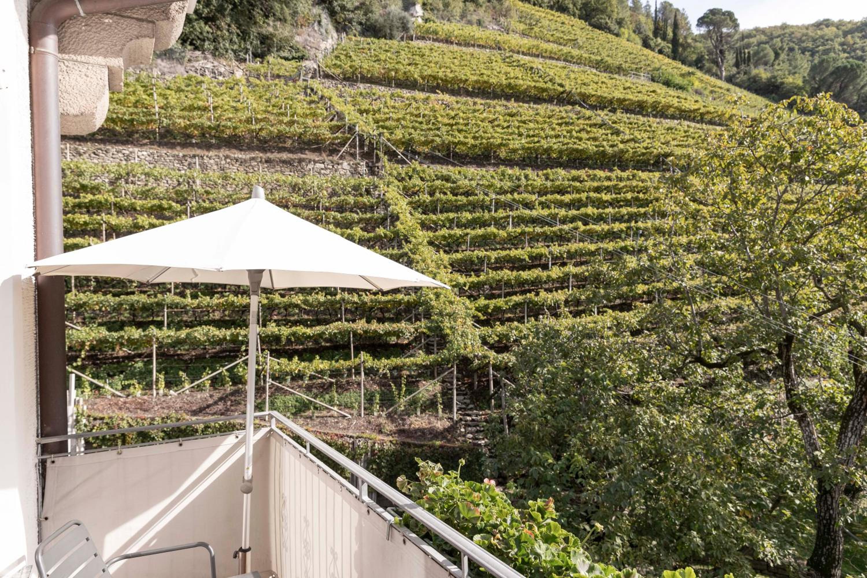 Ladurnerhof Boutique Apartments Meran