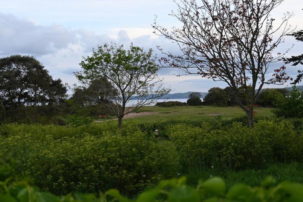Seaside, Exmouth Centre - sleeps 6+ view 3