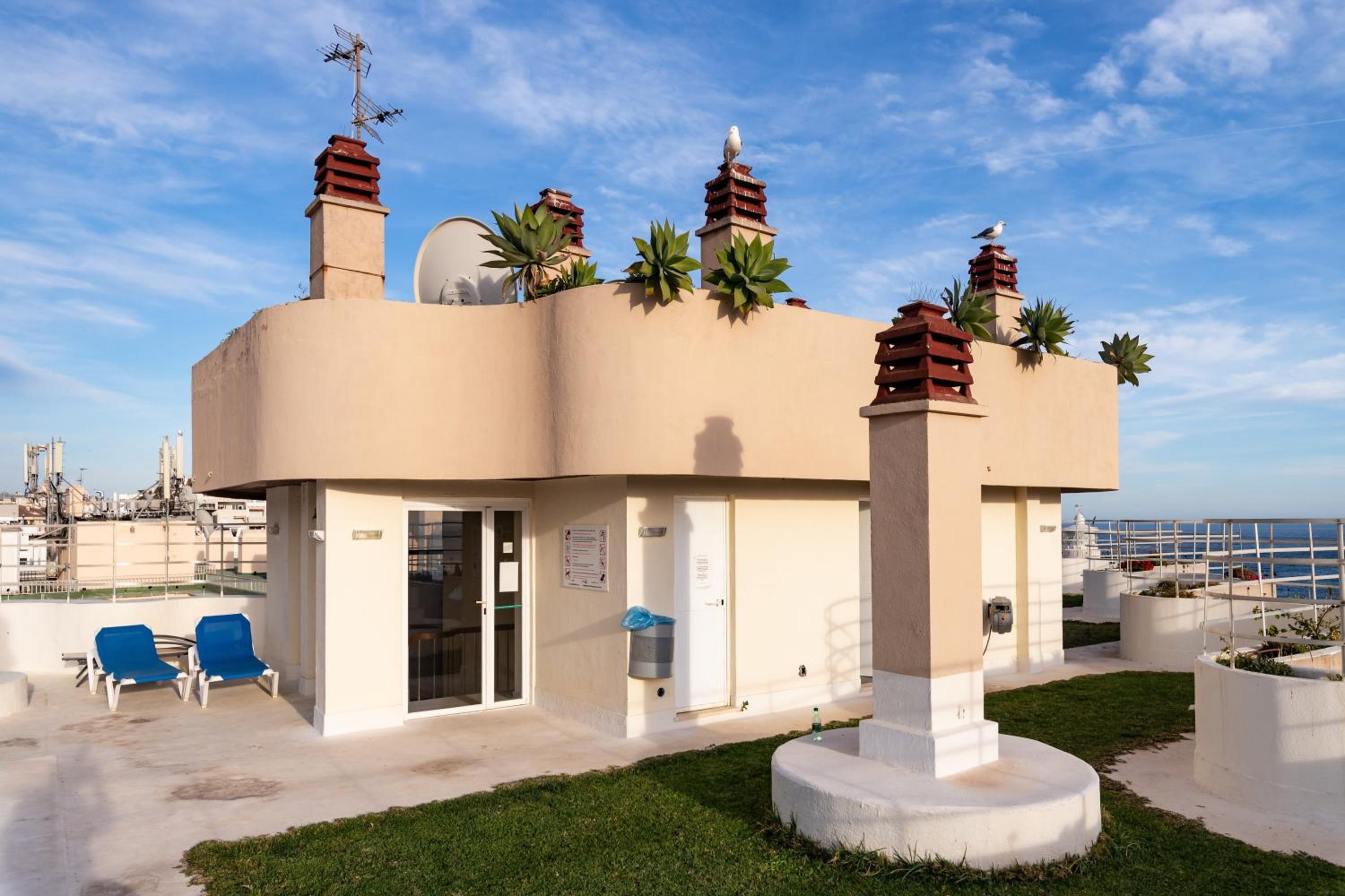 roof