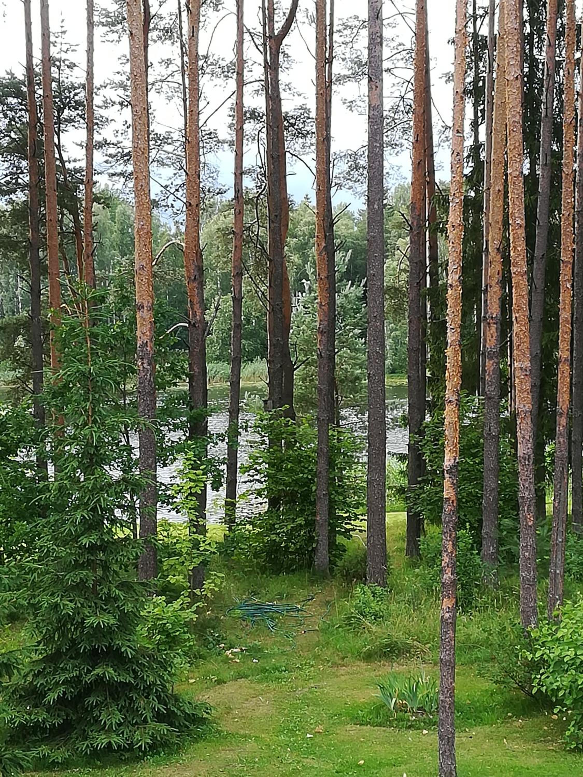 Sisaliku Puhkemaja saunaga view 2