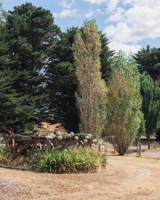 The Acres of Tooborac Cottage