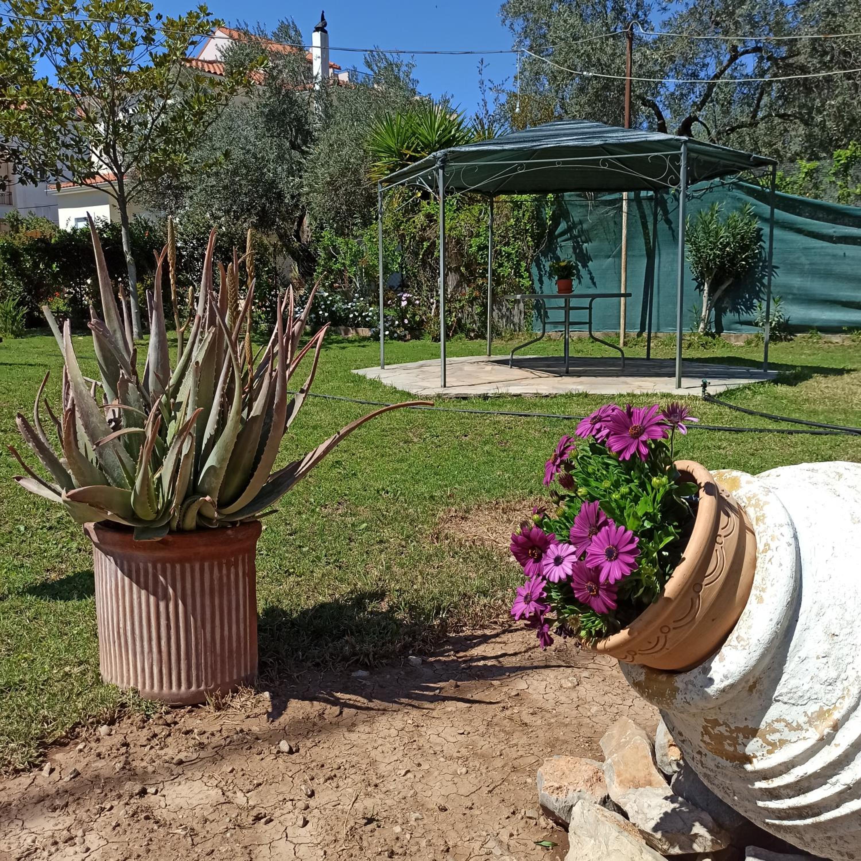Itea's Garden House