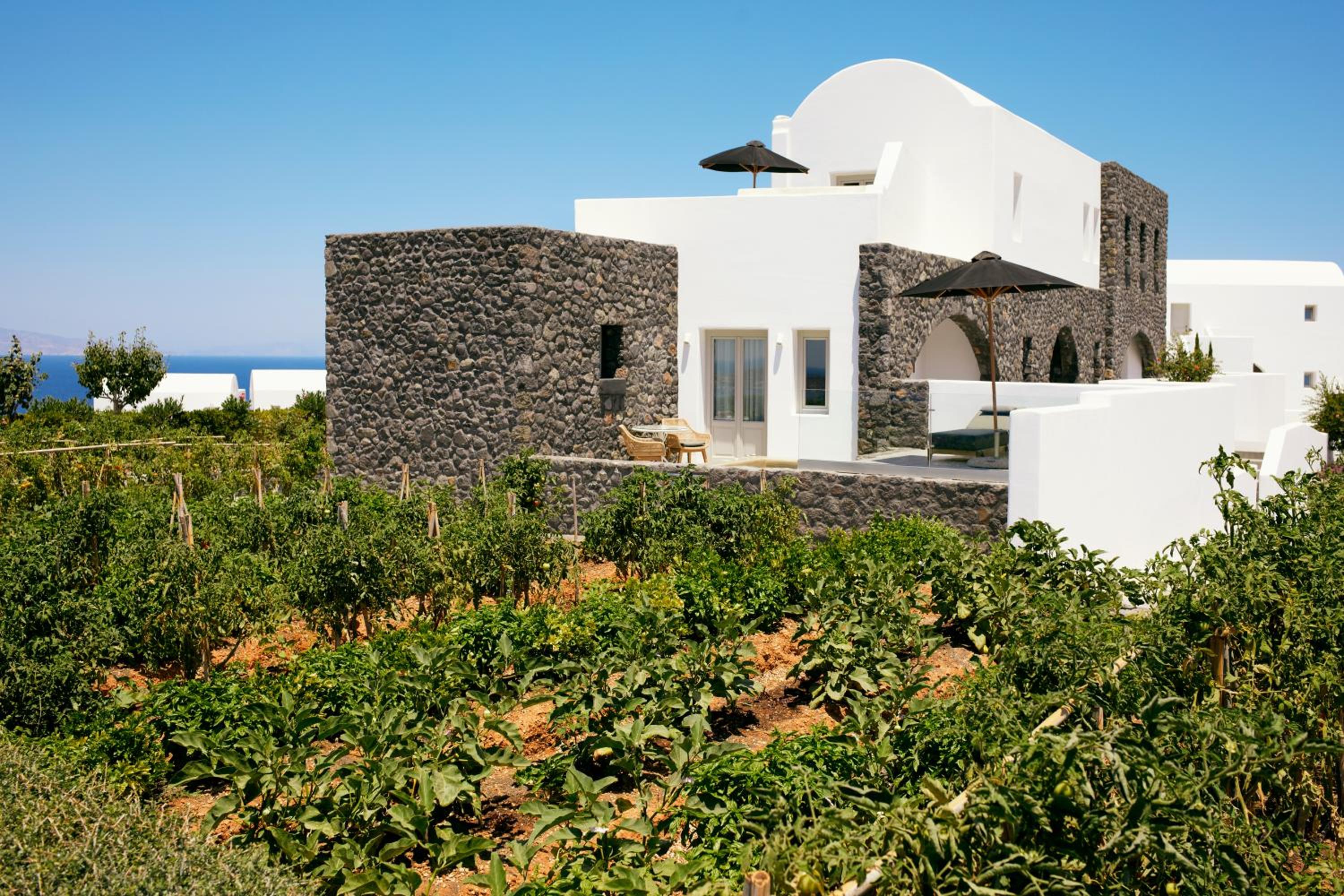 Santo Pure Oia Suites & Villas 57