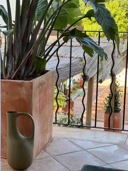 Didi House - Charming in Downtown Mahon photo 2