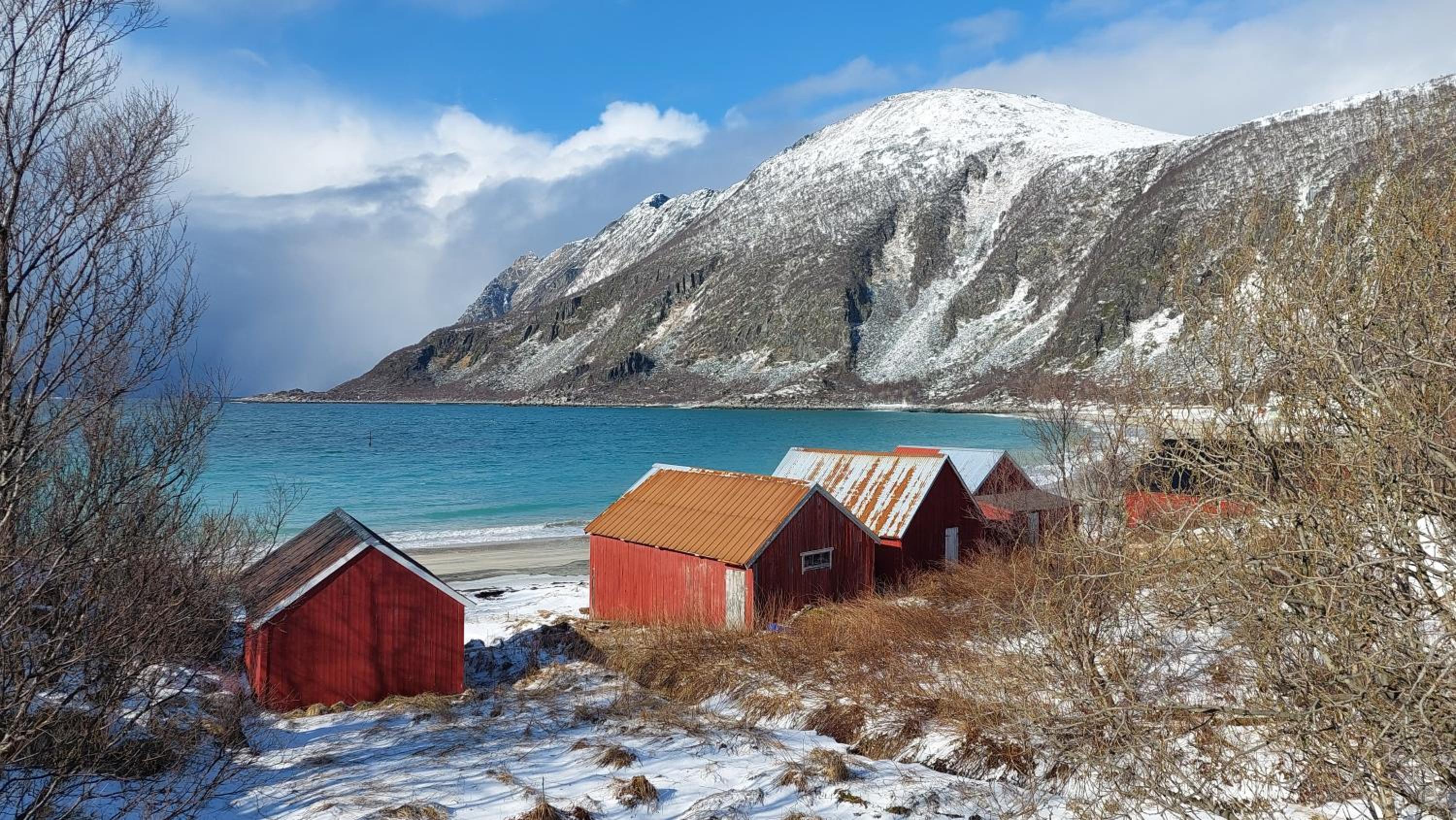 Holiday home on Senja view 4