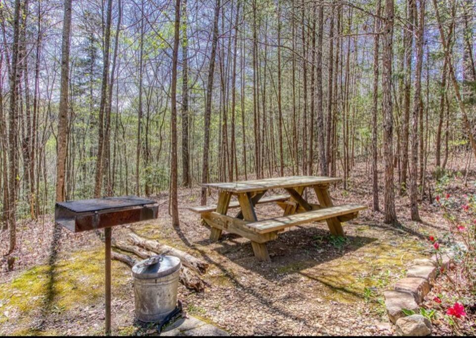 Lazy Bear Cabin view 3