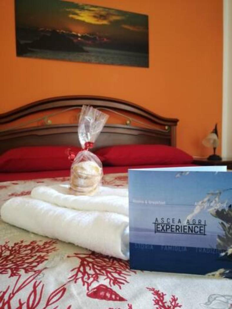 AsceaExperience Rooms