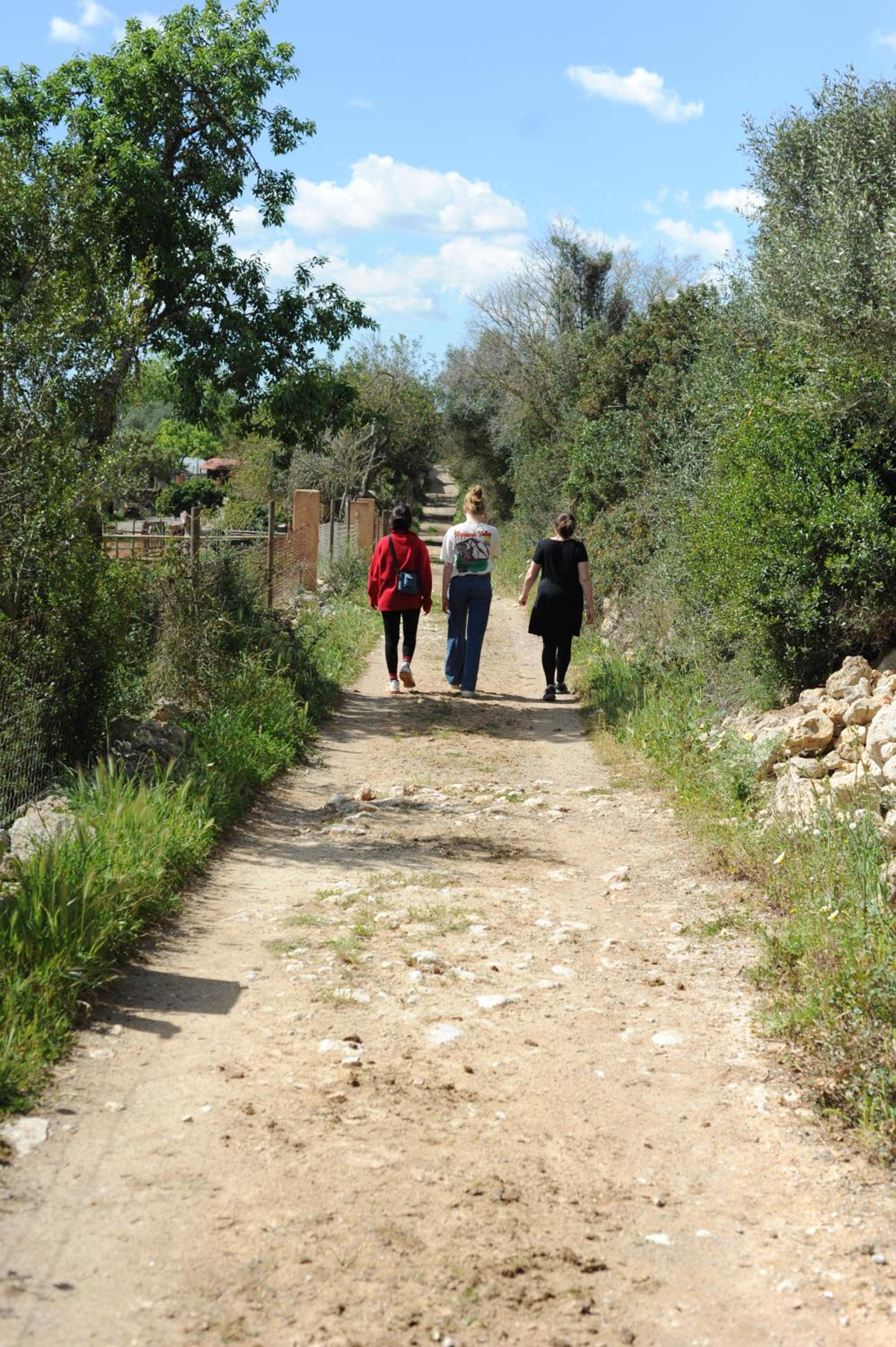 Finca Sa Cova Vella