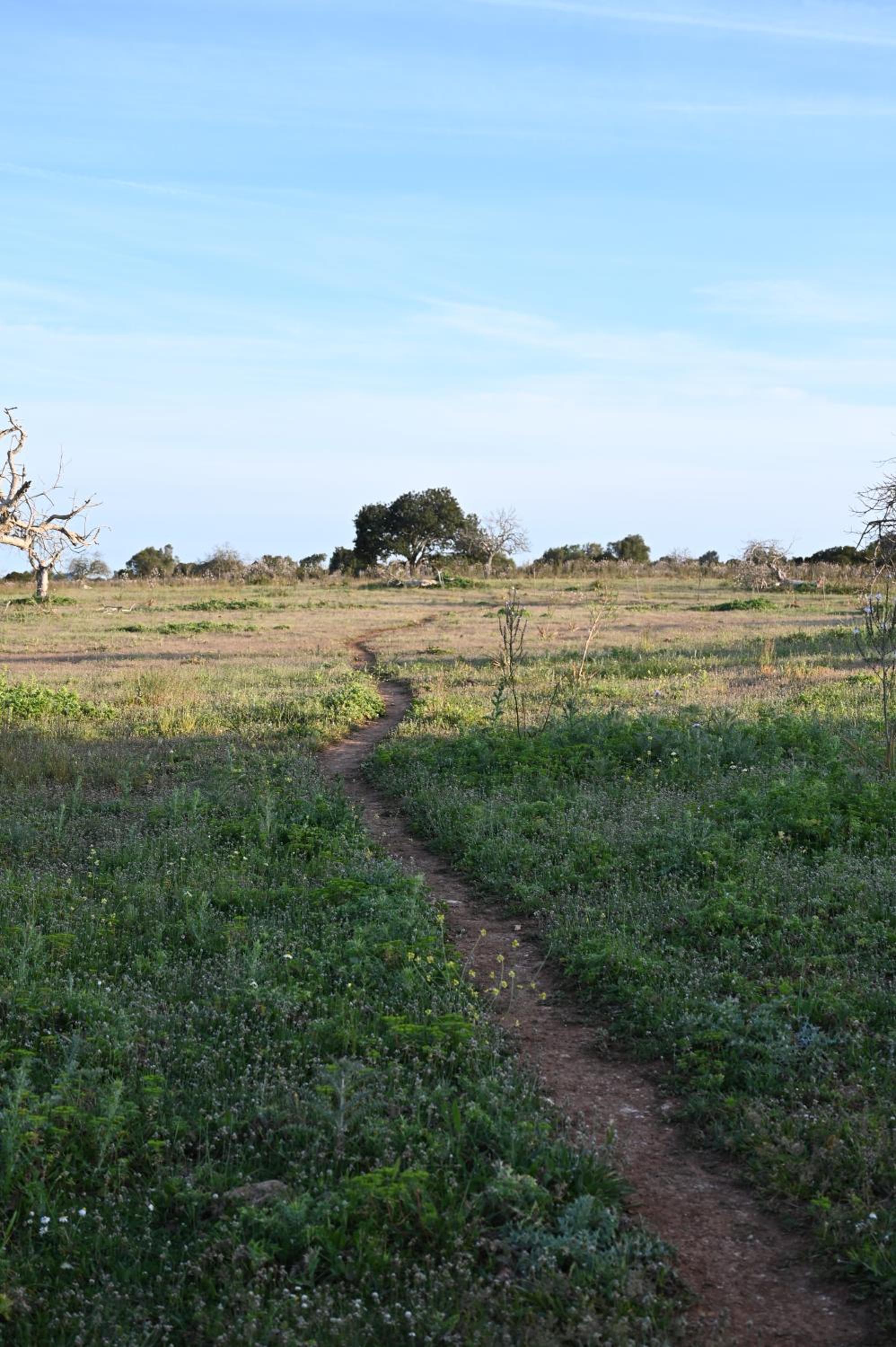 Finca Sa Cova Vella