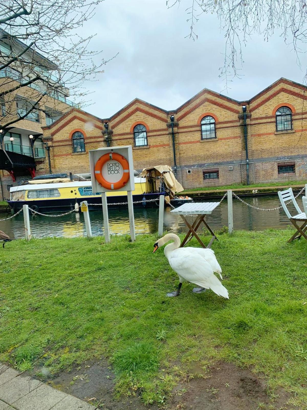 Portobello Dock - Canal Views with Garden