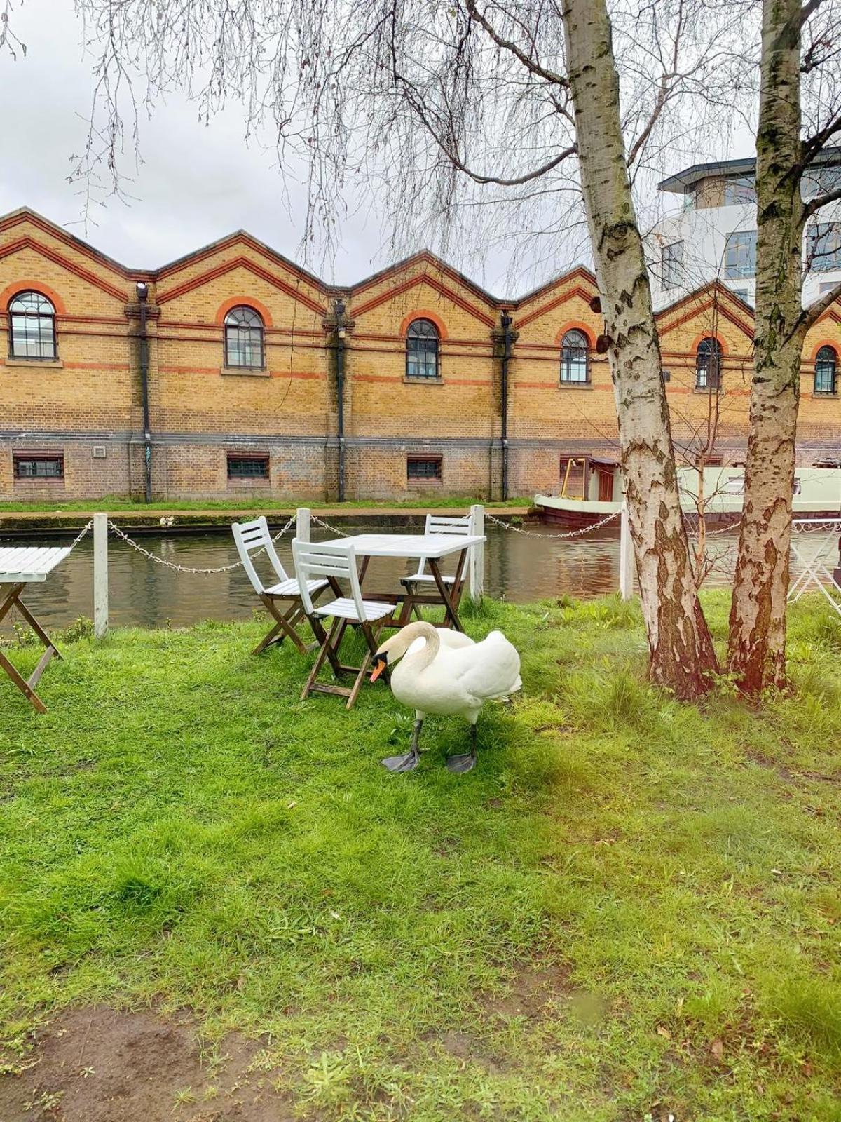 Portobello Dock - Canal Views with Garden