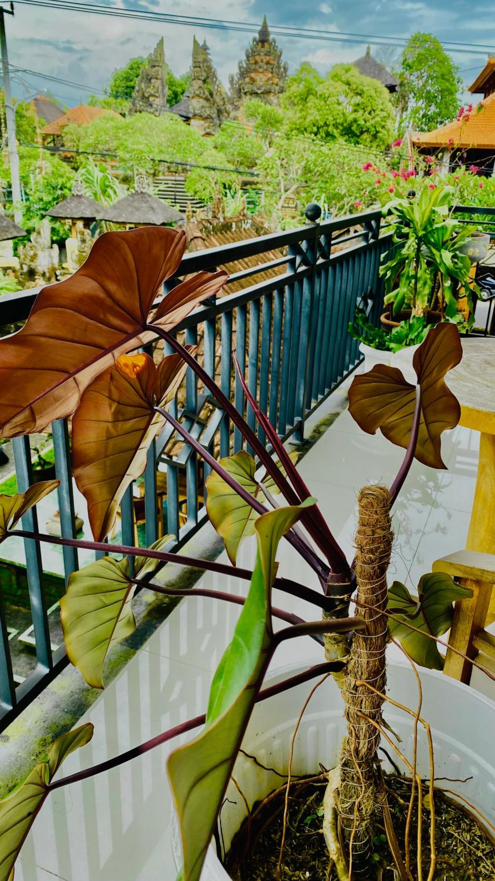 Wina Ubud B&B