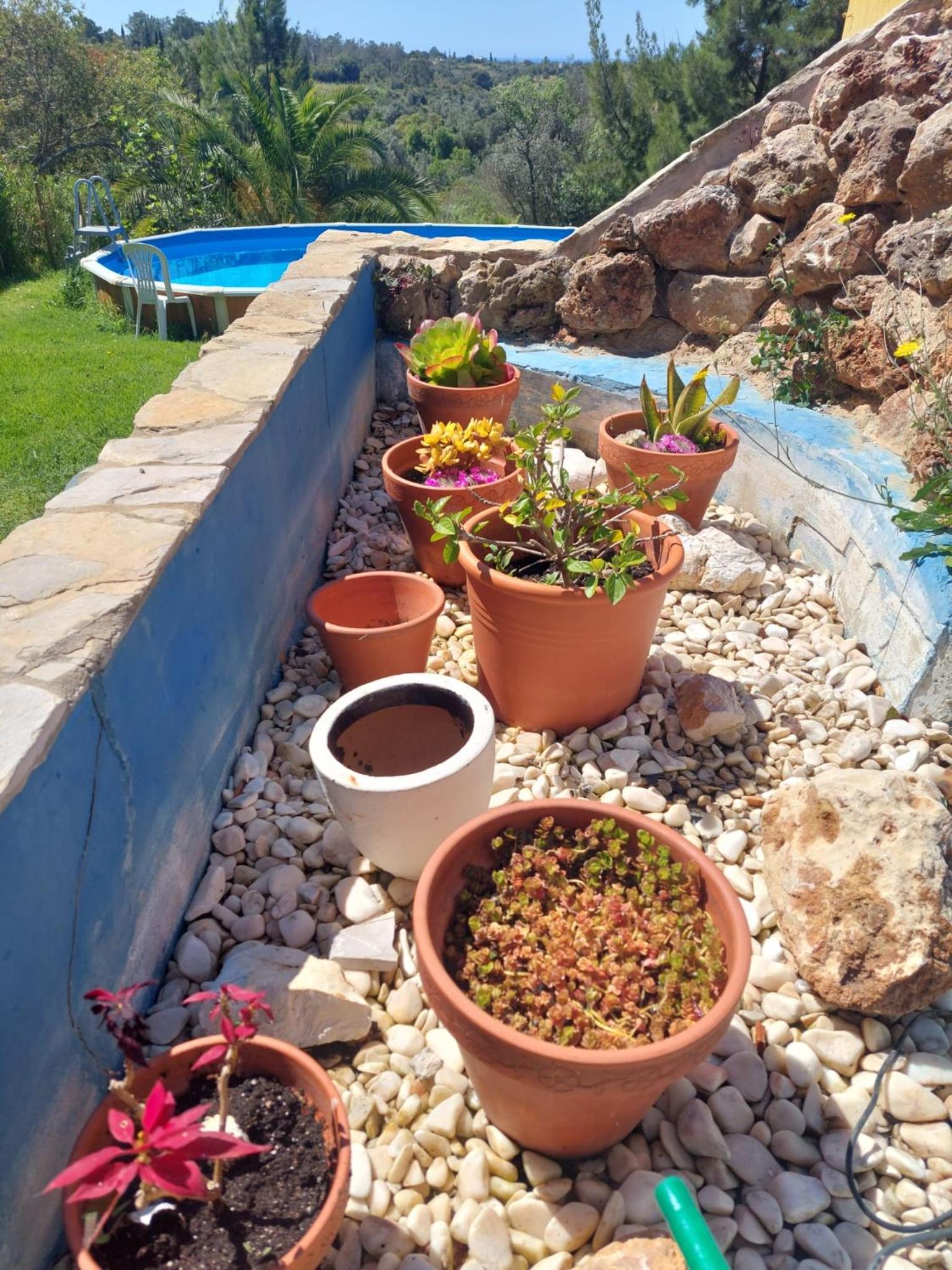 Casa Alexandra view 3