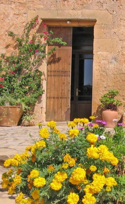 Finca Sa Cova Vella