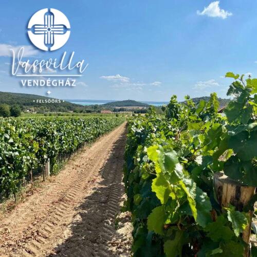 Vass Villa Vendégház és Pincészet Felsőörs