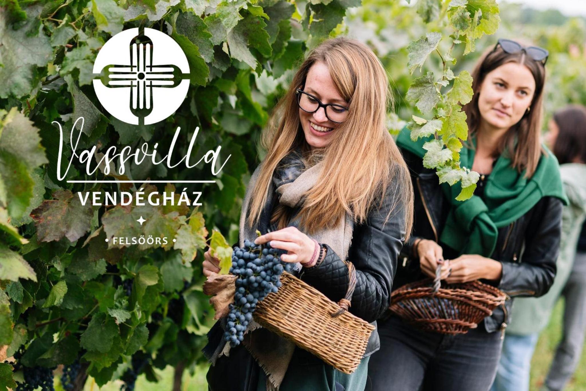 Vass Villa Vendégház és Pincészet Felsőörs