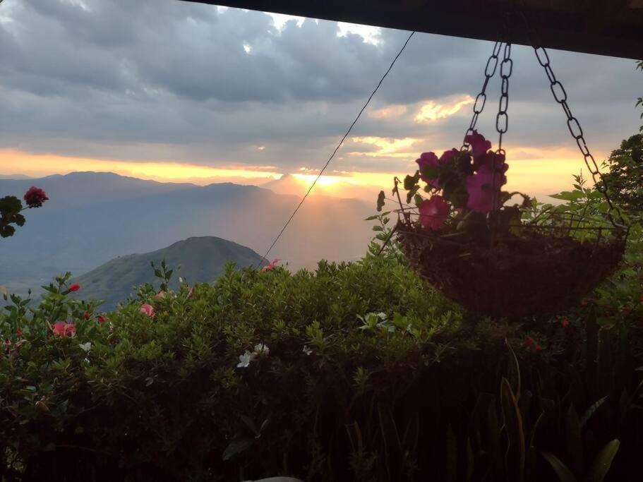 Hotel Finca Emilio - Image 1