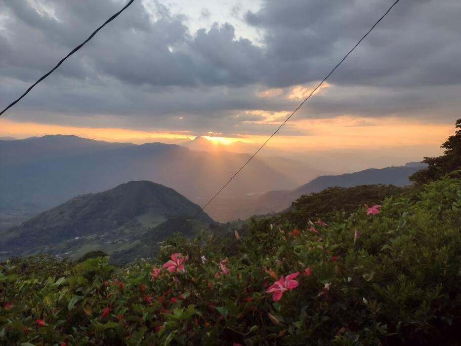 Finca Emilio