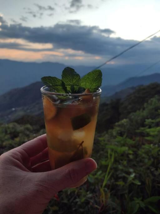 Finca Emilio