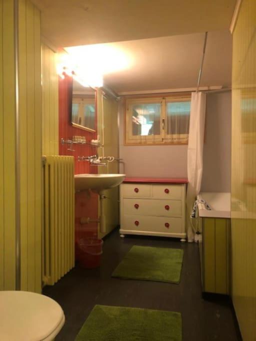Cosy Traditional Swiss Chalet