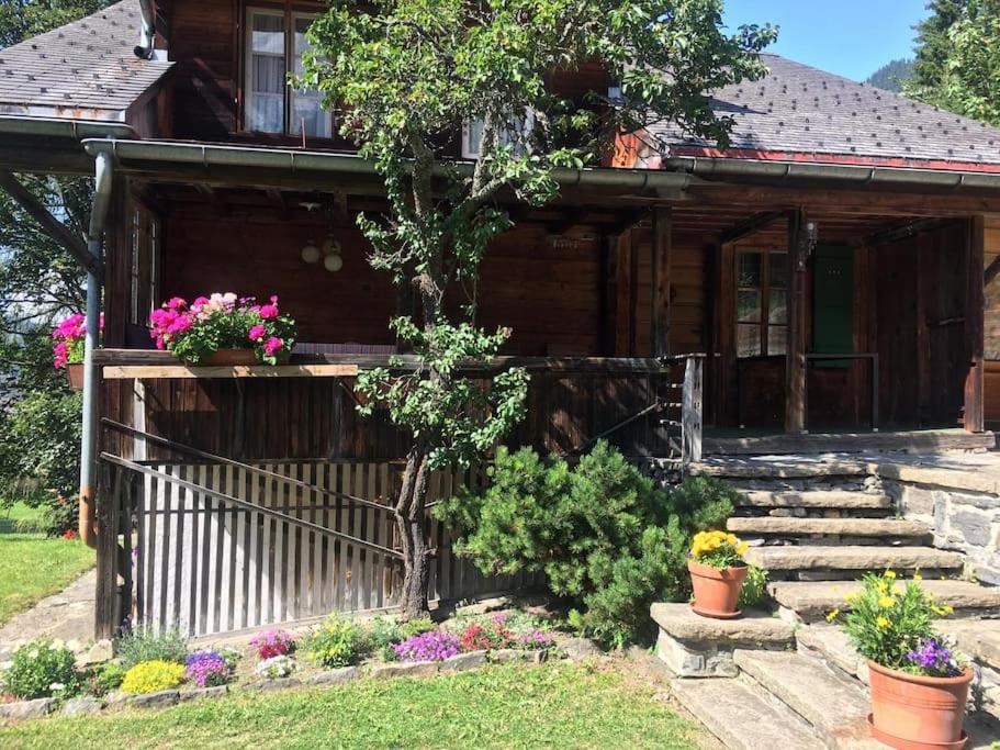 Cosy Traditional Swiss Chalet