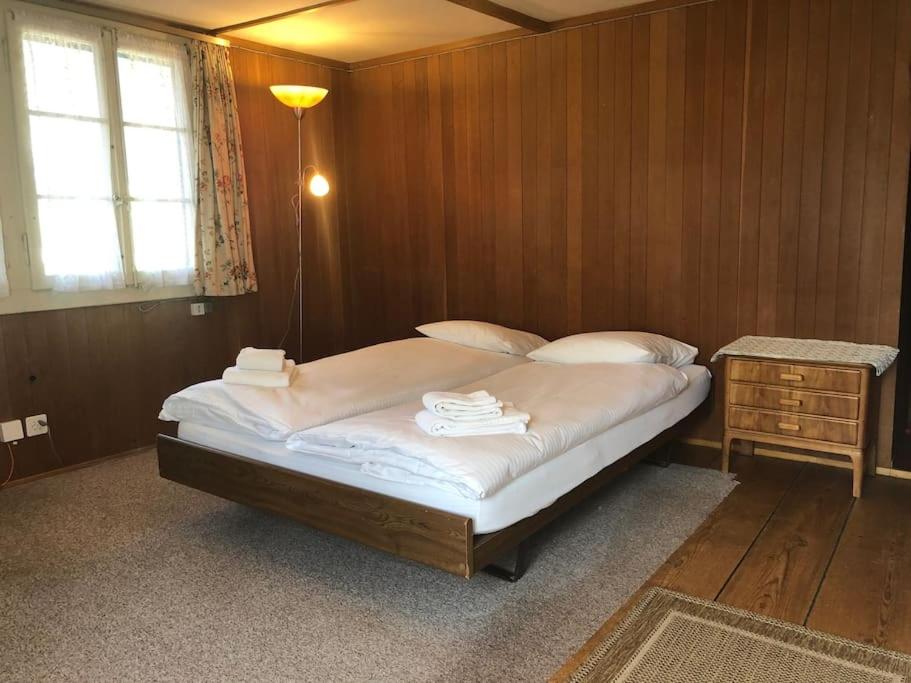Cosy Traditional Swiss Chalet
